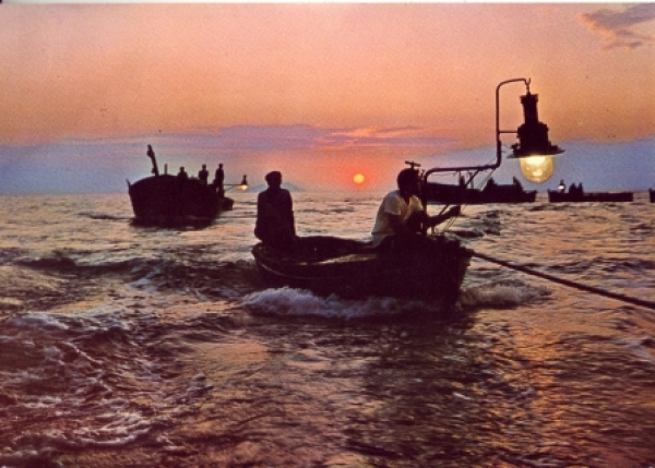 Jadran - HR 1974 95 001 ●